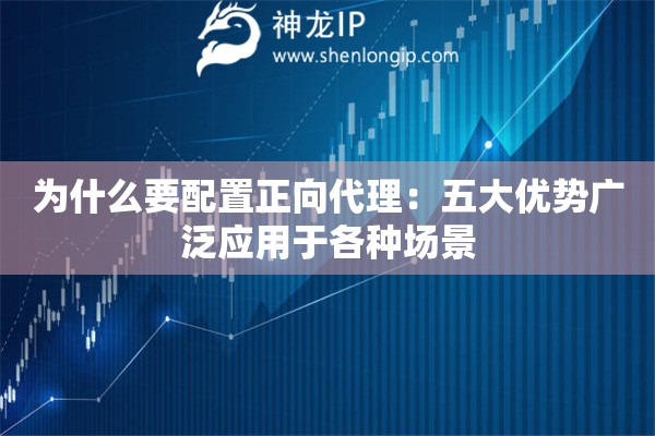 為什么要配置正向代理：五大優勢廣泛應用于各種場景