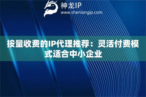按量收費的IP代理推薦：靈活付費模式適合中小企業