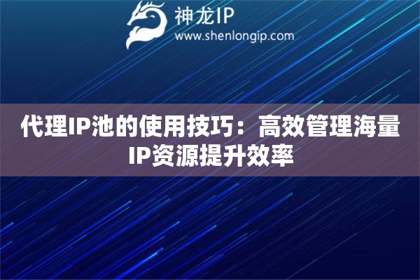 代理IP池的使用技巧：高效管理海量IP資源提升效率