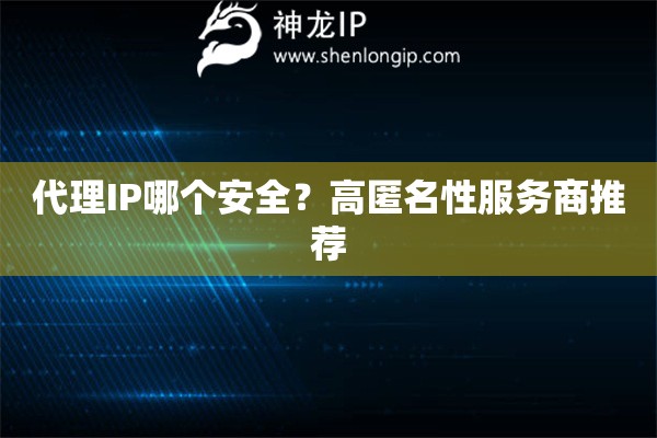 代理IP哪個安全？高匿名性服務(wù)商推薦