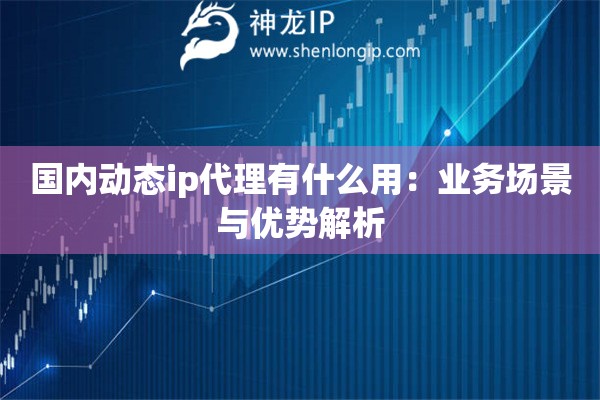 國內動態ip代理有什么用：業務場景與優勢解析