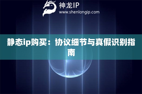 靜態ip購買：協議細節與真假識別指南