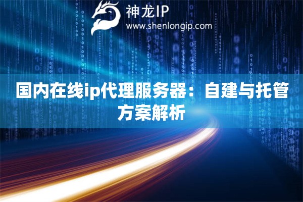 國內在線ip代理服務器：自建與托管方案解析