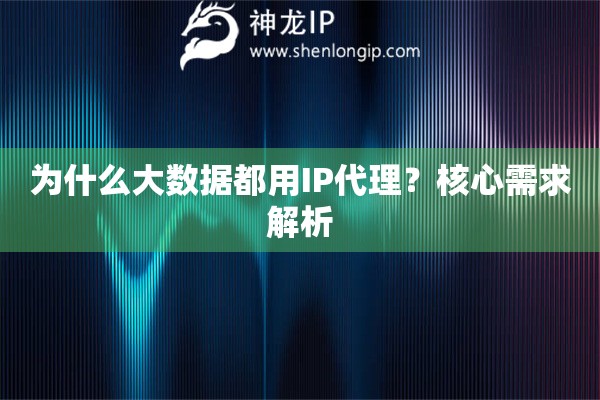 為什么大數據都用IP代理？核心需求解析