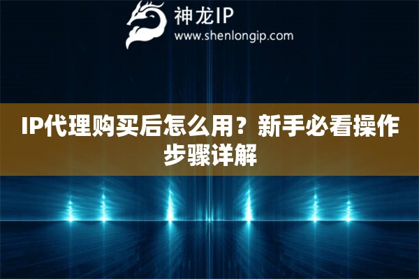 IP代理購買后怎么用？新手必看操作步驟詳解