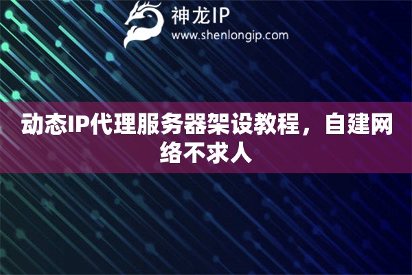 動(dòng)態(tài)IP代理服務(wù)器架設(shè)教程，自建網(wǎng)絡(luò)不求人
