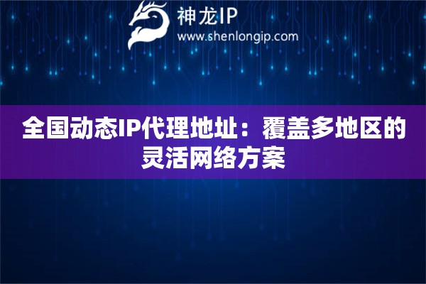 全國(guó)動(dòng)態(tài)IP代理地址：覆蓋多地區(qū)的靈活網(wǎng)絡(luò)方案