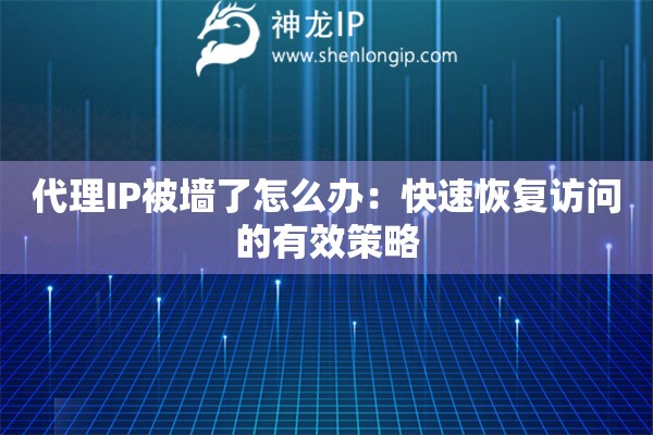 代理IP被墻了怎么辦：快速恢復(fù)訪問(wèn)的有效策略