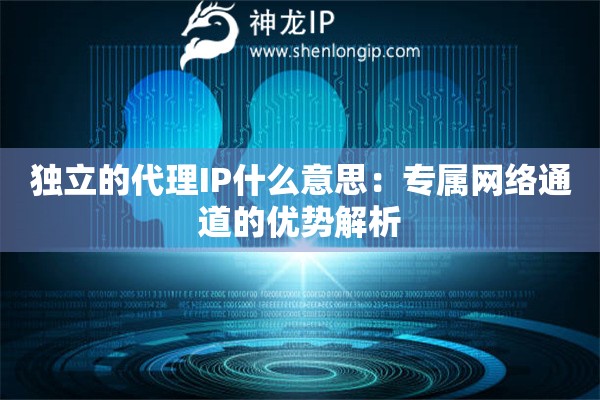 獨(dú)立的代理IP什么意思：專屬網(wǎng)絡(luò)通道的優(yōu)勢(shì)解析