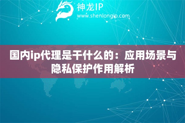 國(guó)內(nèi)ip代理是干什么的：應(yīng)用場(chǎng)景與隱私保護(hù)作用解析