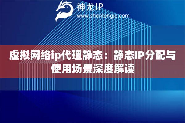 虛擬網(wǎng)絡(luò)ip代理靜態(tài)：靜態(tài)IP分配與使用場(chǎng)景深度解讀