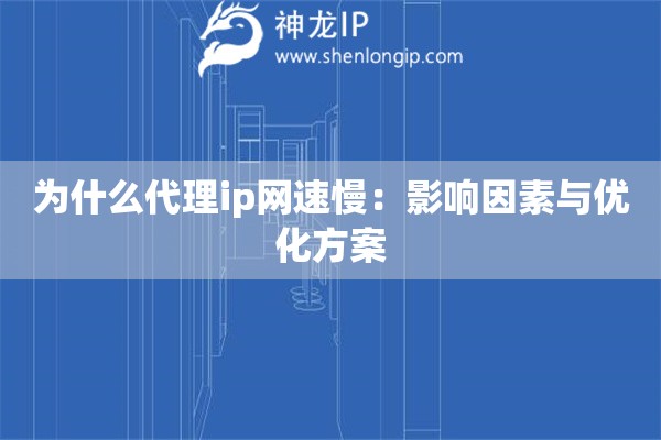 為什么代理ip網速慢：影響因素與優化方案