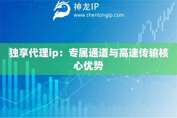 獨享代理ip：專屬通道與高速傳輸核心優勢