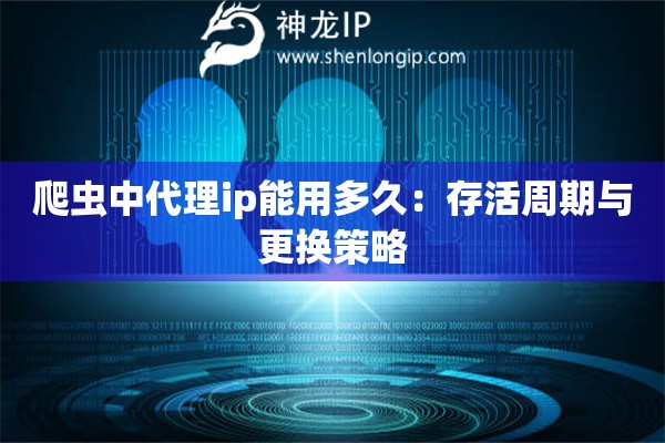爬蟲中代理ip能用多久：存活周期與更換策略