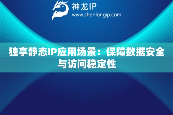 獨(dú)享靜態(tài)IP應(yīng)用場(chǎng)景：保障數(shù)據(jù)安全與訪問(wèn)穩(wěn)定性