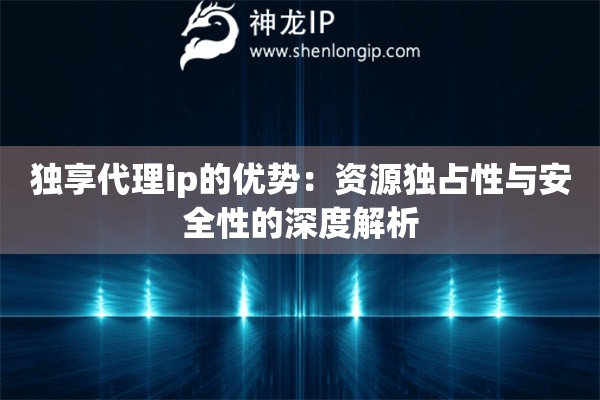 獨享代理ip的優(yōu)勢：資源獨占性與安全性的深度解析