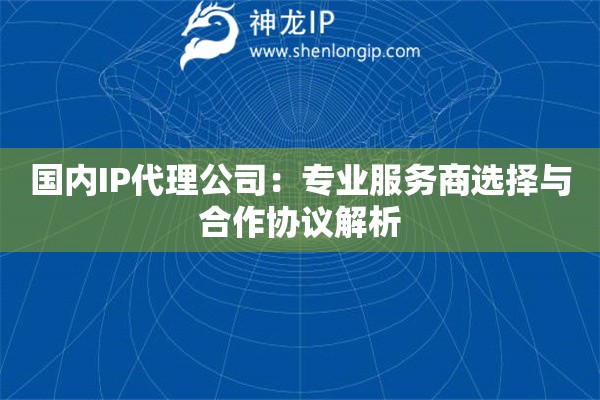 國內IP代理公司：專業服務商選擇與合作協議解析