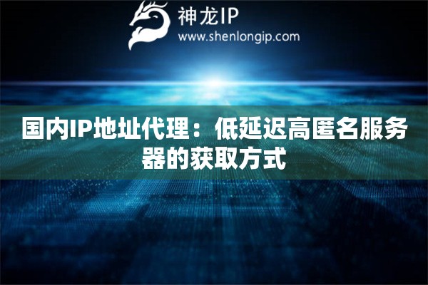 國內(nèi)IP地址代理：低延遲高匿名服務(wù)器的獲取方式