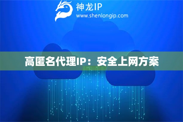 高匿名代理IP：安全上網(wǎng)方案