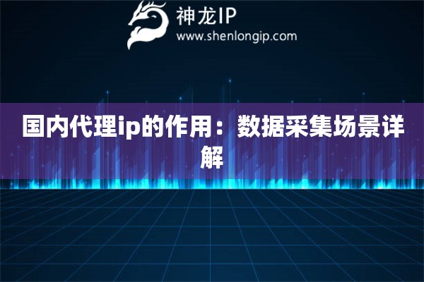 國(guó)內(nèi)代理ip的作用：數(shù)據(jù)采集場(chǎng)景詳解