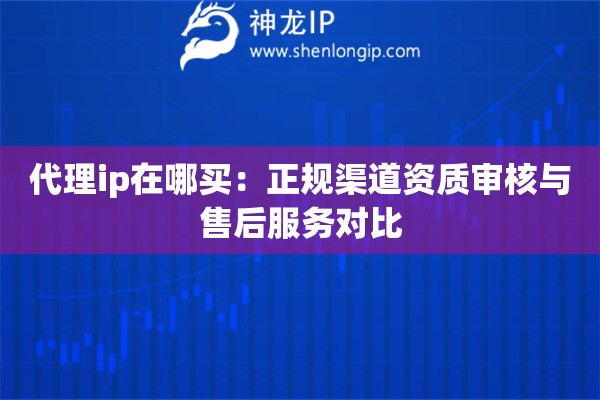 代理ip在哪買：正規渠道資質審核與售后服務對比