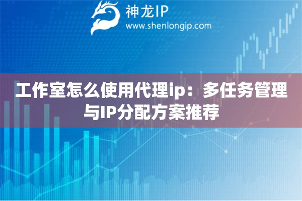 工作室怎么使用代理ip：多任務(wù)管理與IP分配方案推薦