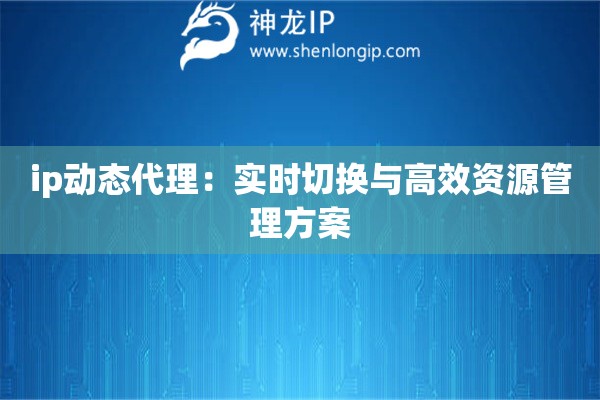 ip動態代理：實時切換與高效資源管理方案