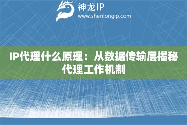 IP代理什么原理：從數(shù)據(jù)傳輸層揭秘代理工作機制