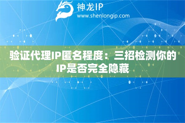 驗證代理IP匿名程度：三招檢測你的IP是否完全隱藏