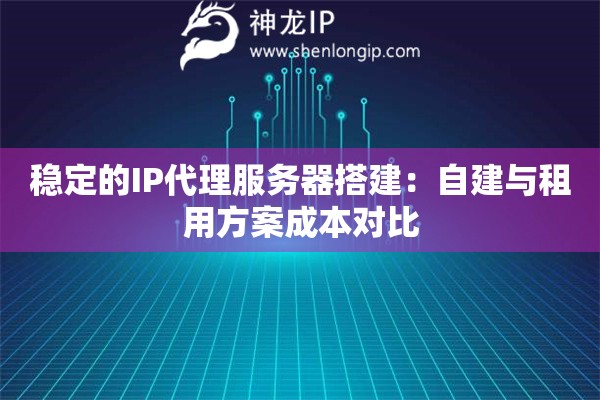 穩定的IP代理服務器搭建：自建與租用方案成本對比