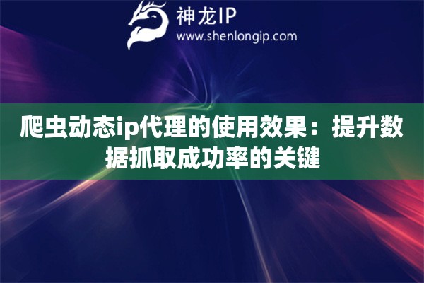 爬蟲動態ip代理的使用效果：提升數據抓取成功率的關鍵