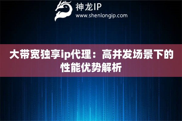 大帶寬獨享ip代理：高并發場景下的性能優勢解析