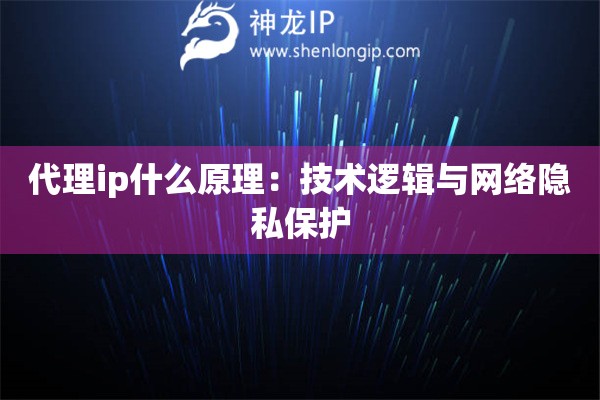 代理ip什么原理：技術邏輯與網絡隱私保護