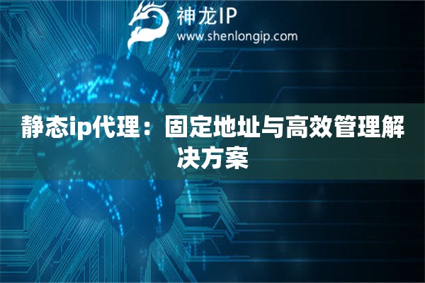 靜態ip代理：固定地址與高效管理解決方案