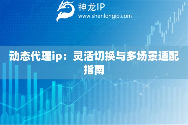 動態代理ip：靈活切換與多場景適配指南