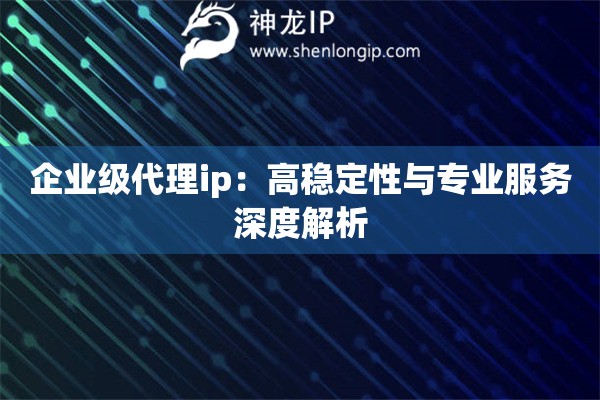 企業級代理ip：高穩定性與專業服務深度解析