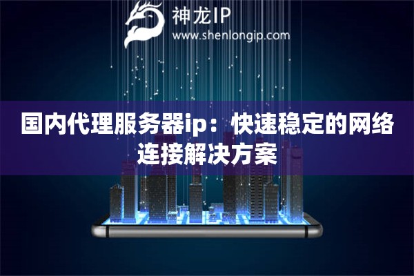 國內代理服務器ip：快速穩定的網絡連接解決方案