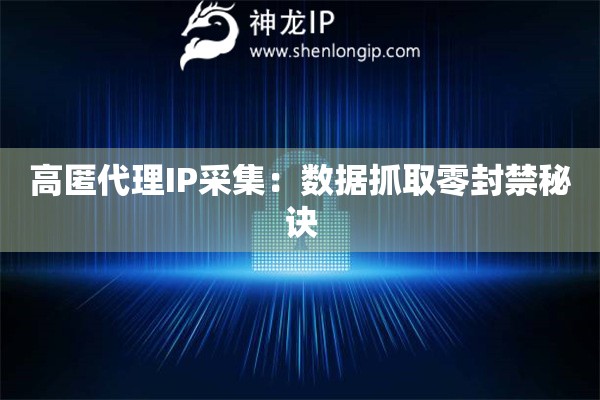 高匿代理IP采集：數(shù)據(jù)抓取零封禁秘訣