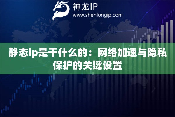 靜態(tài)ip是干什么的：網(wǎng)絡(luò)加速與隱私保護(hù)的關(guān)鍵設(shè)置