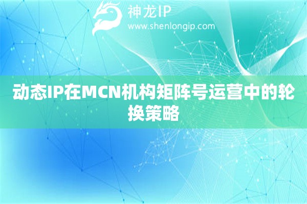 動態IP在MCN機構矩陣號運營中的輪換策略