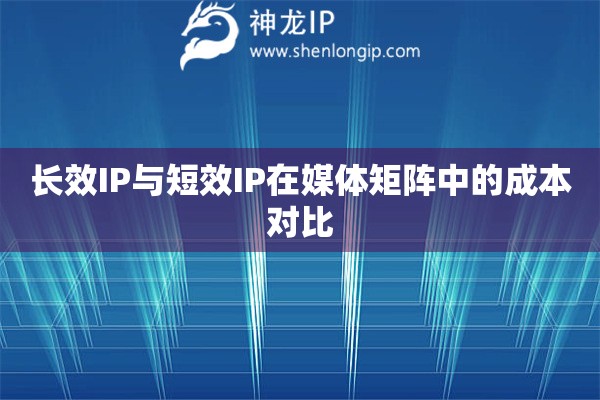 長效IP與短效IP在媒體矩陣中的成本對比