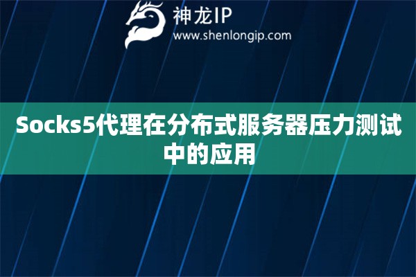 Socks5代理在分布式服務器壓力測試中的應用