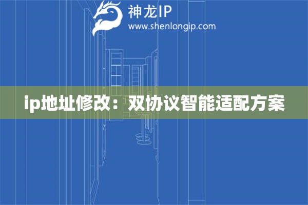 ip地址修改：雙協(xié)議智能適配方案