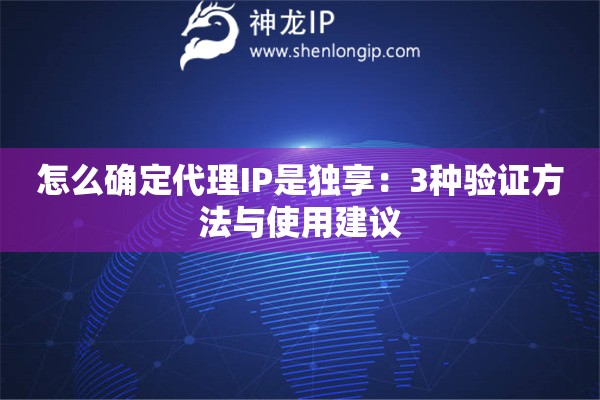 怎么確定代理IP是獨享：3種驗證方法與使用建議
