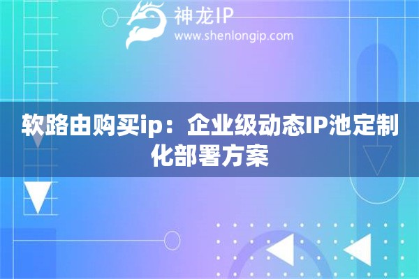 軟路由購買ip：企業級動態IP池定制化部署方案