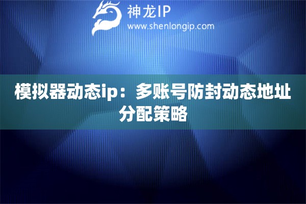 模擬器動態ip：多賬號防封動態地址分配策略