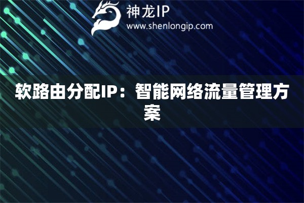 軟路由分配IP：智能網絡流量管理方案