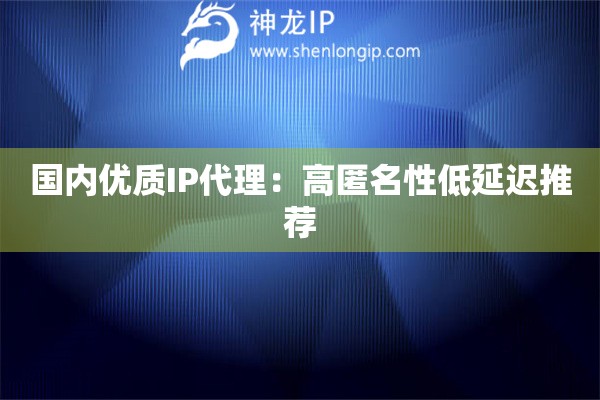 國內優質IP代理：高匿名性低延遲推薦
