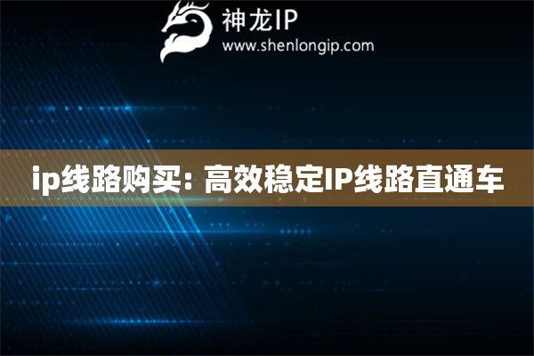 ip線路購買: 高效穩(wěn)定IP線路直通車