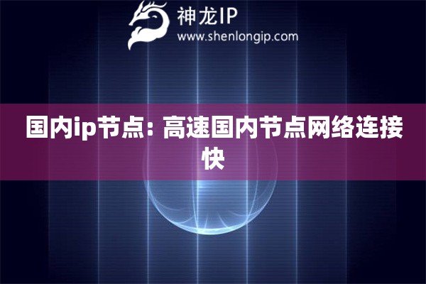 國內(nèi)ip節(jié)點: 高速國內(nèi)節(jié)點網(wǎng)絡(luò)連接快
